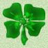 dlsp01shamrock2.jpg